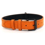 Metal Dog Collar Factory - Luxury Leather Personalized Picture Letter Collar