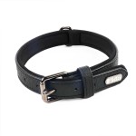 Leather Dog Collar Manufacturer - Soft Padded Adjustable Metal Buckle Collar