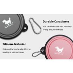 Portable Water Bowl Factory - Foldable Feeding Dish for Traveling Camping