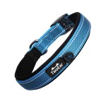 Neoprene Pet Collar Factory - Soft Padded Breathable Adjustable Reflective