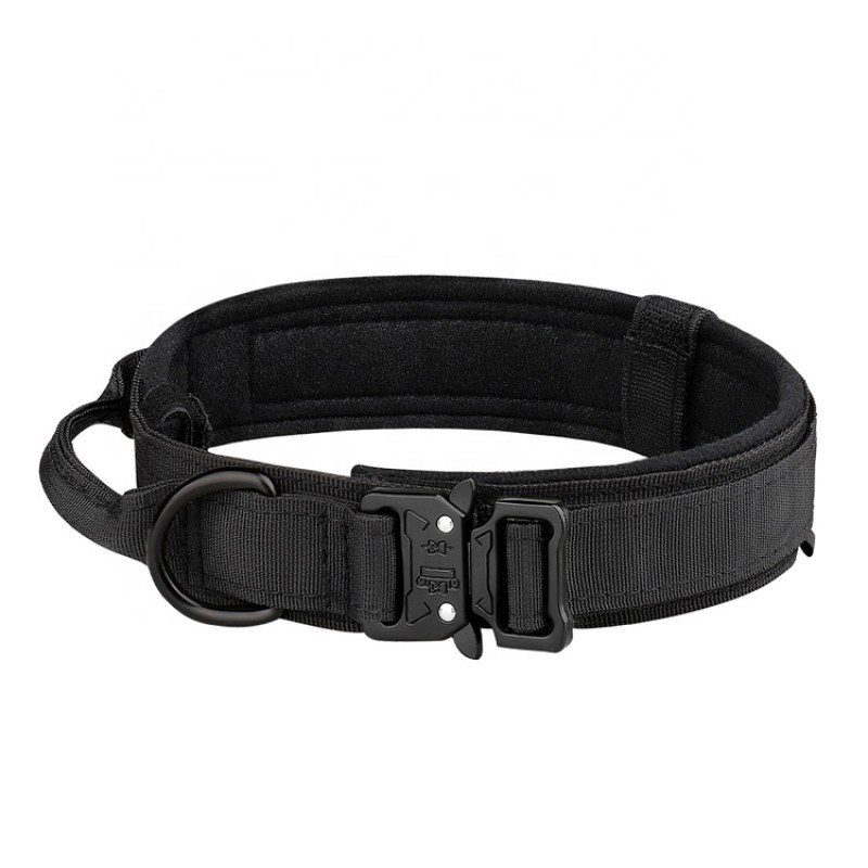 Nylon Dog Collar Supplier - Multi-Color Solid Pattern Customizable Pet Collar