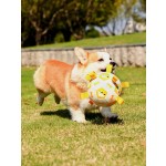 Interactive Dog Toy Supplier - Hot Selling Multi-Function Funny Peppy Pet