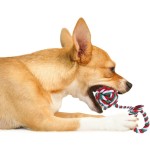 Dog Tug Toy Manufacturer - Durable Cotton Tether Tug-of-War Aggressive Chewers