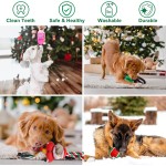 Christmas Dog Toy Factory - Squeaky Hide Seek Training Ball Gift Series