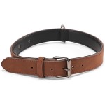 Metal Dog Collar Factory - Luxury Leather Personalized Picture Letter Collar