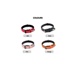 Leather Dog Collar Manufacturer - Soft Padded Adjustable Metal Buckle Collar