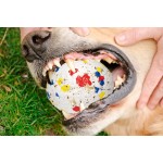 Indestructible Dog Toy Supplier - Chew Proof Eco-Friendly Aggressive Chewers