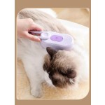 Portable Pet Brush Factory - Violet Multifunctional Silicone Spray Massage Steam