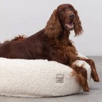 Removable Dog Bed Manufacturer - Fluffy Round Donuts Soft Puppy Large Bed