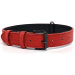 Dog Collar Set Supplier - Metal Leather Personalized Picture Letter Rose Red