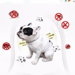 Flea and Tick Collar Factory - Safety Long Lasting Protection