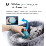 Cat Brush Supplier - Cactus Ball Removing Hair Efficiently