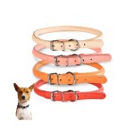 Dog Collar Manufacturer - OEM ODM Wholesale Custom Logo