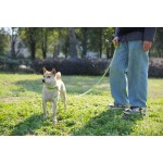 宠物牵引绳供应商-新材料双色耐用