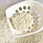 Plant Cat Litter Supplier - Customized Flushable Biodegradable