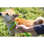 宠物牵引绳供应商-新材料双色耐用