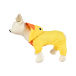 宠物雨衣工厂-定制8-20英寸防水可爱