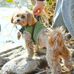 狗冬季外套工厂-绒面防水夹克柔软温暖