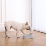 宠物碗工厂-批发无毒材料分配器