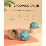 Cat Brush Supplier - Cactus Ball Removing Hair Efficiently