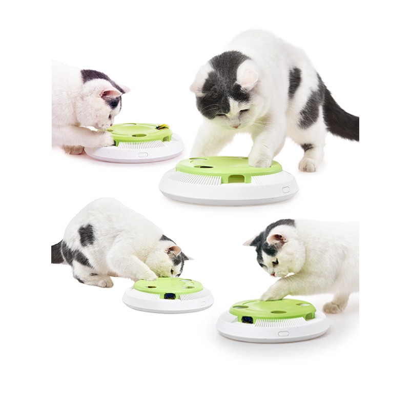 IQ训练盒供应商-自动模拟捕鼠