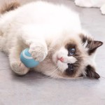 Cat Toy Manufacturer - Menthol Fish Simulation Teeth Training Durable Linen