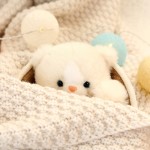 Plush Animal Toys Supplier - Wholesale Best Quality Kawaii Cotton Baby Cat