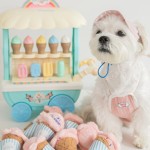 Cat Training Toy Supplier - Small Medium Squeak Sound Nylon Chew Animal Shape