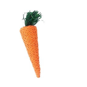 Puppy Chew Toy Factory - Eco-Friendly 52 Kinds Sounding Fruit Vegetable Chicken