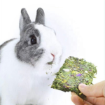 Dog T-Shirt Manufacturer - Wholesale Summer Classic Multicolor Cotton XS Size