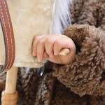 Plush Horse Toy Supplier - Hobby Electric Stuffed with Detachable Wooden Stick