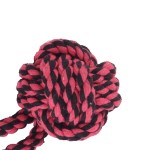 Pet Grass Snack Factory - Rabbit Hamster Guinea Pig Timothy Crisp Vacuum Natural