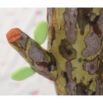 Anime Plush Doll Manufacturer - Wholesale Touhou Character Cotton Stuffed Toys