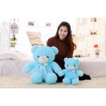LED Teddy Bear Manufacturer - Exquisite Embroidered Bedtime Luminous Plush Toys
