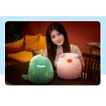 Kawaii Plushies Supplier - 2022 Winter New Cartoon Hand Warmer Pillow Squish
