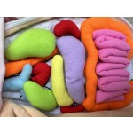 Human Organ Toy Manufacturer - Children's Cloth Body Structure Cognition Early
