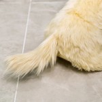 Rabbit LED Hat Supplier - Christmas Party Light Plush Mixed Models Animal PP