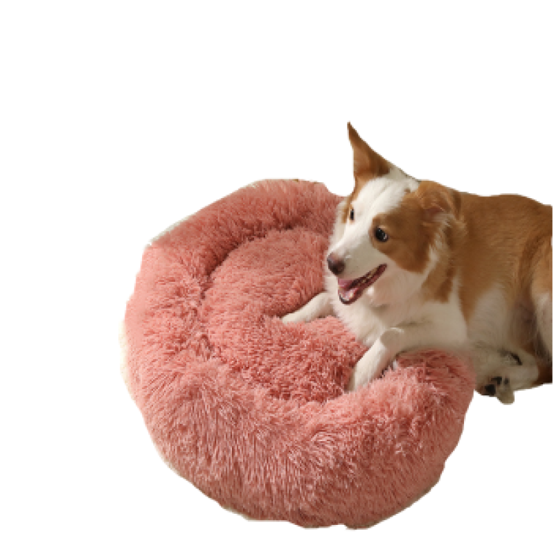 Dog Chew Bone Manufacturer - Wishbone Durable Food Grade Nylon Aggressive Chewers