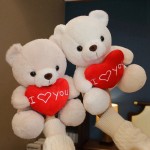 Heart Teddy Bear Manufacturer - Cute Red Love Theme Valentine's Day Gift PP