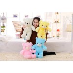 LED Teddy Bear Manufacturer - Exquisite Embroidered Bedtime Luminous Plush Toys