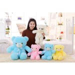 LED Teddy Bear Manufacturer - Exquisite Embroidered Bedtime Luminous Plush Toys