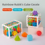 Baby Grip Training Supplier - Rainbow Cecele Toddler Fine Movement Montessori