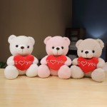 Heart Teddy Bear Manufacturer - Cute Red Love Theme Valentine's Day Gift PP