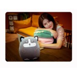 Kawaii Plushies Supplier - 2022 Winter New Cartoon Hand Warmer Pillow Squish