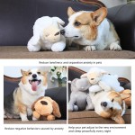 Companion Bear Toy Manufacturer - Customizable Pet Anxiety Heating Heartbeat OEM