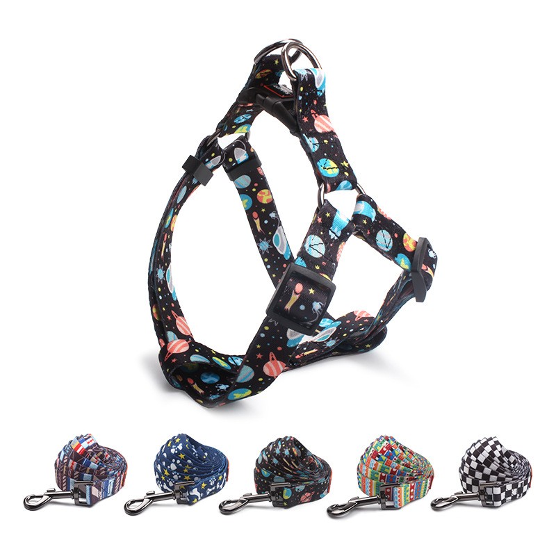 Pet Harness Set Manufacturer - Customized Nylon Adjustable Breathable Soft Padding