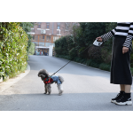 Dog Leash Factory - LED Shining Luxury Automatic Stretching Nylon Quick Release