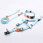Dog Leash Collar Set Supplier - Hot Selling Luxury Soft Modern Nylon Personalized