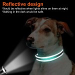 Pet Collars Supplier - Adjustable Nylon Classic Solid Colors Reflective Personalized
