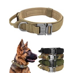 Adjustable Dog Collar Supplier - High Quality Nylon Reflective Personalized Print